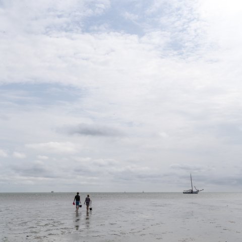 Waddenzee