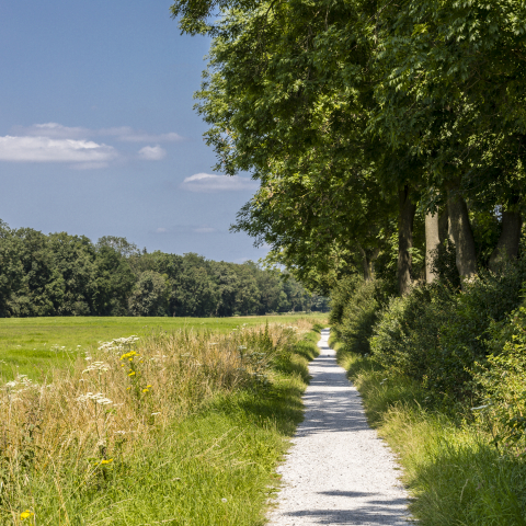 Wandelpad op Schokland