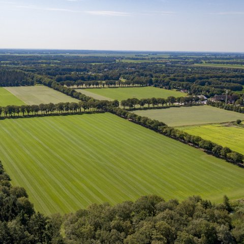 Wilhelminaoord 025 - © Bertel Kolthof / Stichting Werelderfgoed Nederland