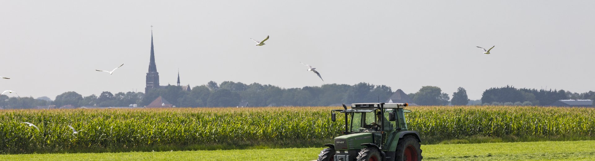 Droogmakerij de Beemster Tractor  028 - Fotograaf Bertel Kolthof © Stichting Werelderfgoed Nederland