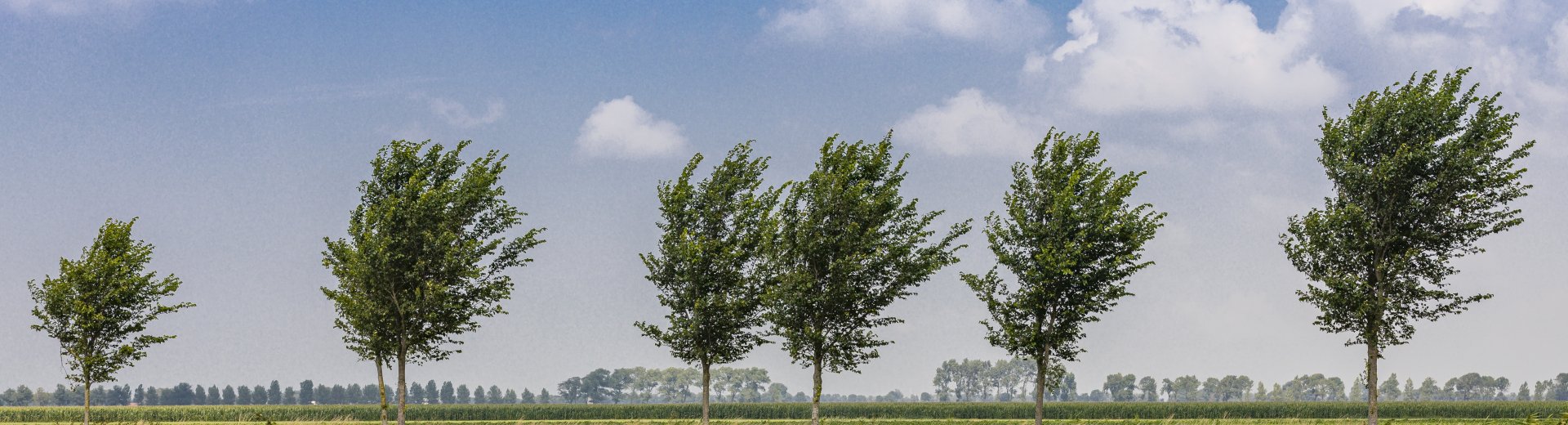 Droogmakerij de Beemster - Bertel Kolthof - Stichting Werelderfgoed Nederland