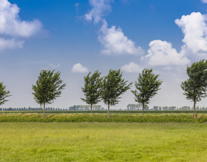 Droogmakerij de Beemster - Bertel Kolthof - Stichting Werelderfgoed Nederland