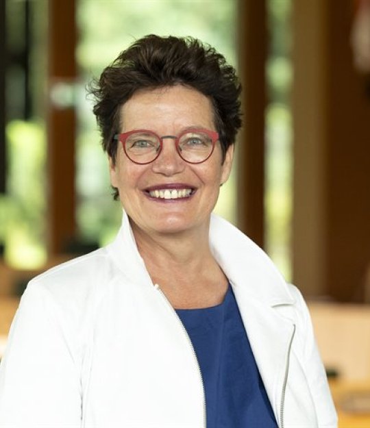 Gedeputeerde Yvonne Turenhout is namens de PvdA lid van het college van gedeputeerde staten van de provincie Drenthe.
