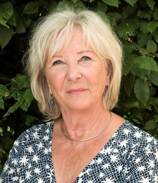 Vivian den Hollander